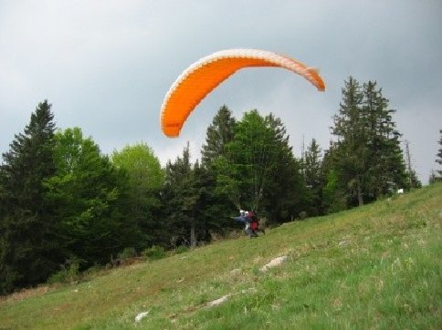 gv6
