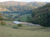 L'étable de Rémy Marcot